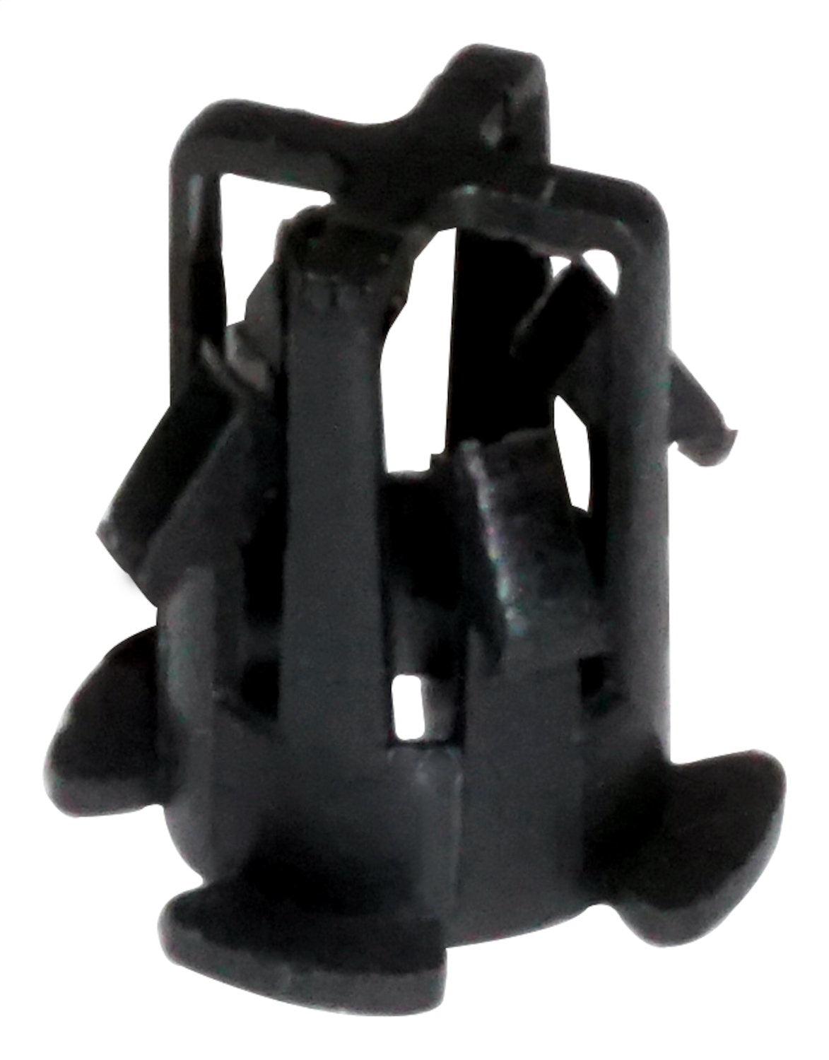 4643448.jpg
