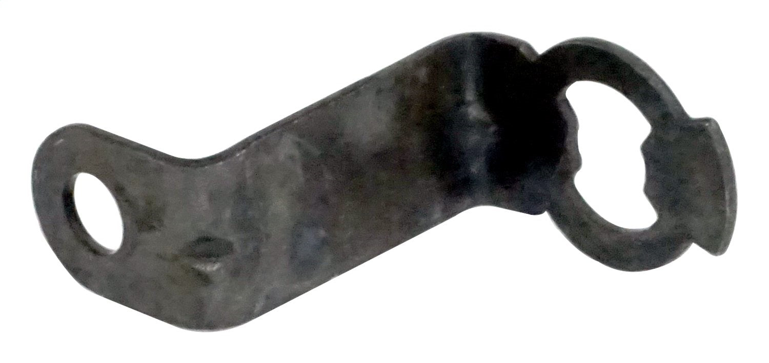 55076307.jpg