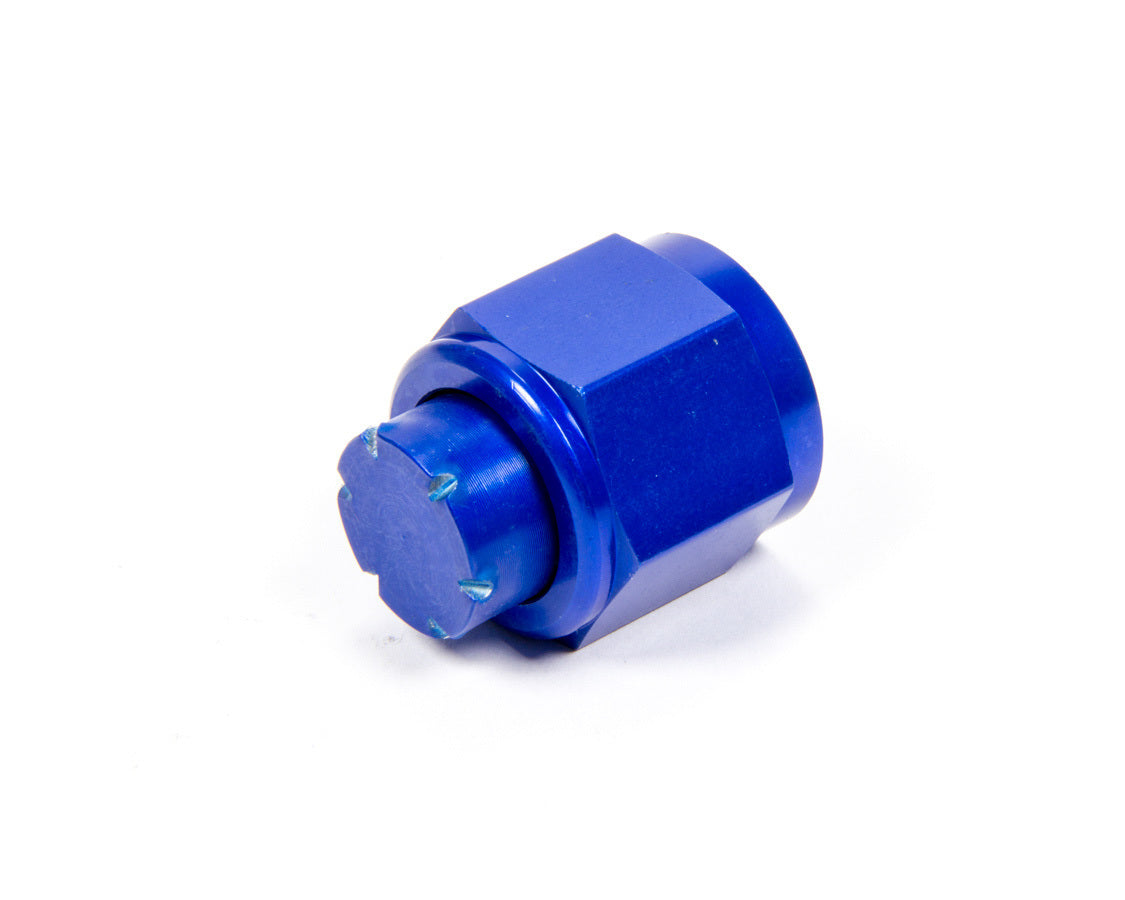 Aeroquip Wheel Accessory #10 An Cap Aluminum FCM3742