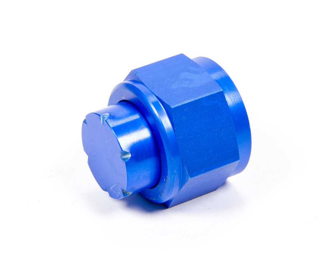 Aeroquip Wheel Accessory #16 An Cap Aluminum FCM3744