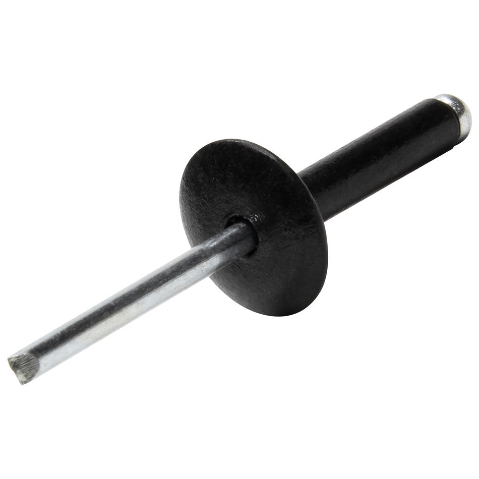 ALL18033.jpg