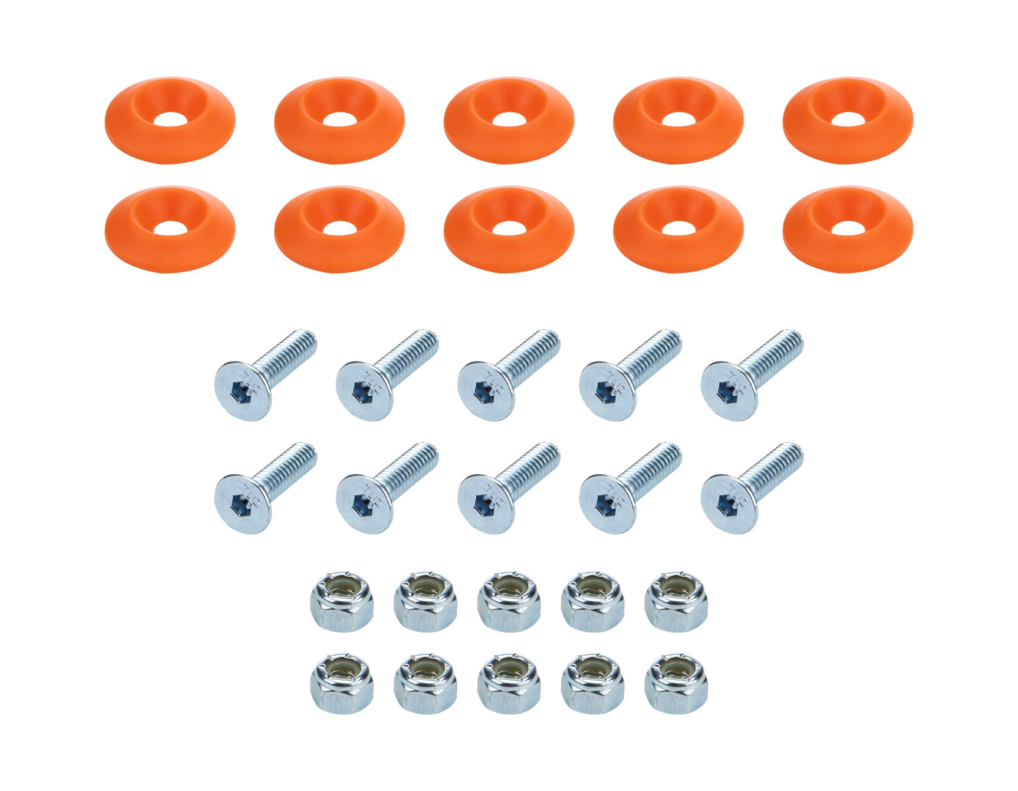 ALL18684.jpg
