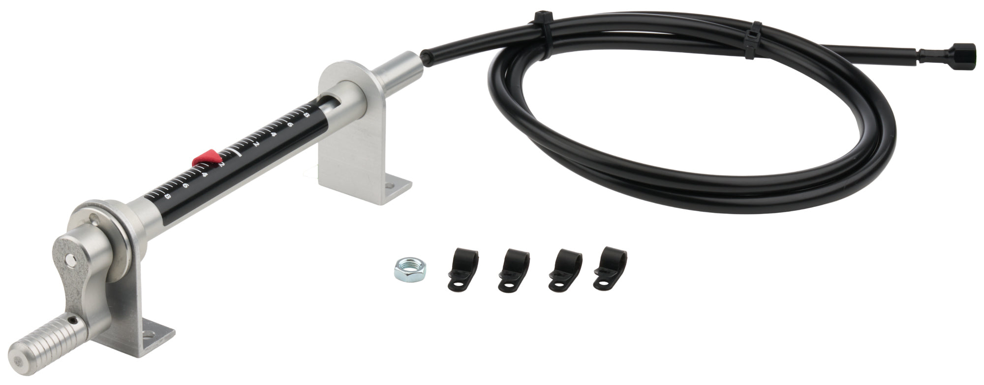 ALL42078.jpg