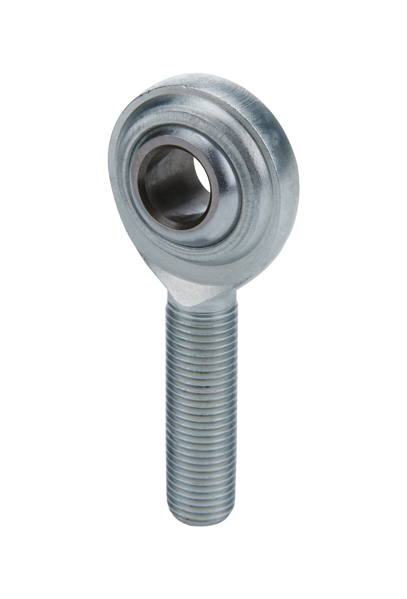ALL58016.jpg