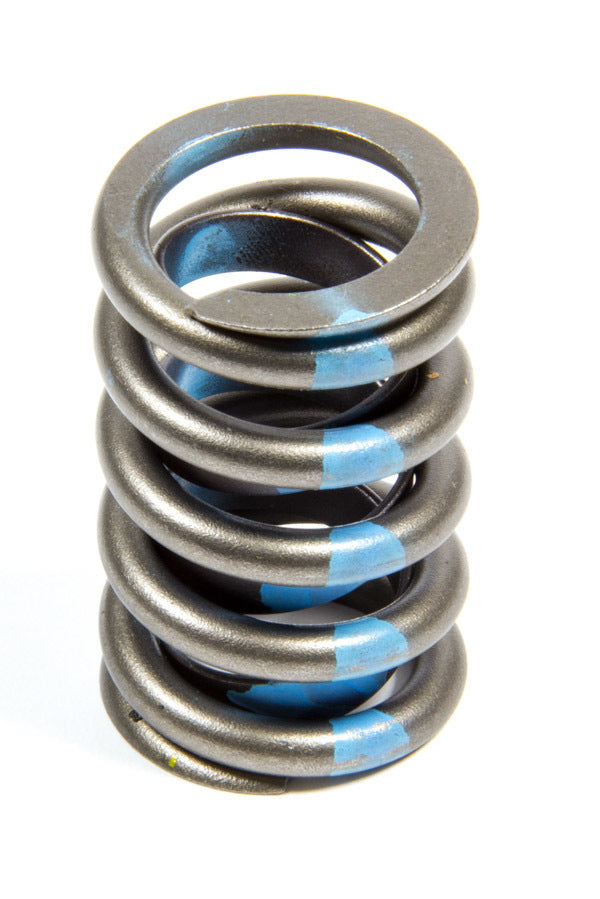 ELGRV-9943X.jpg
