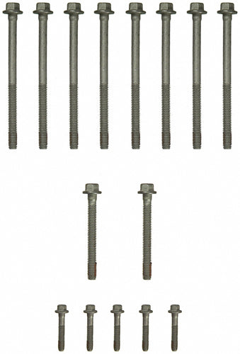 FELES72173.jpg