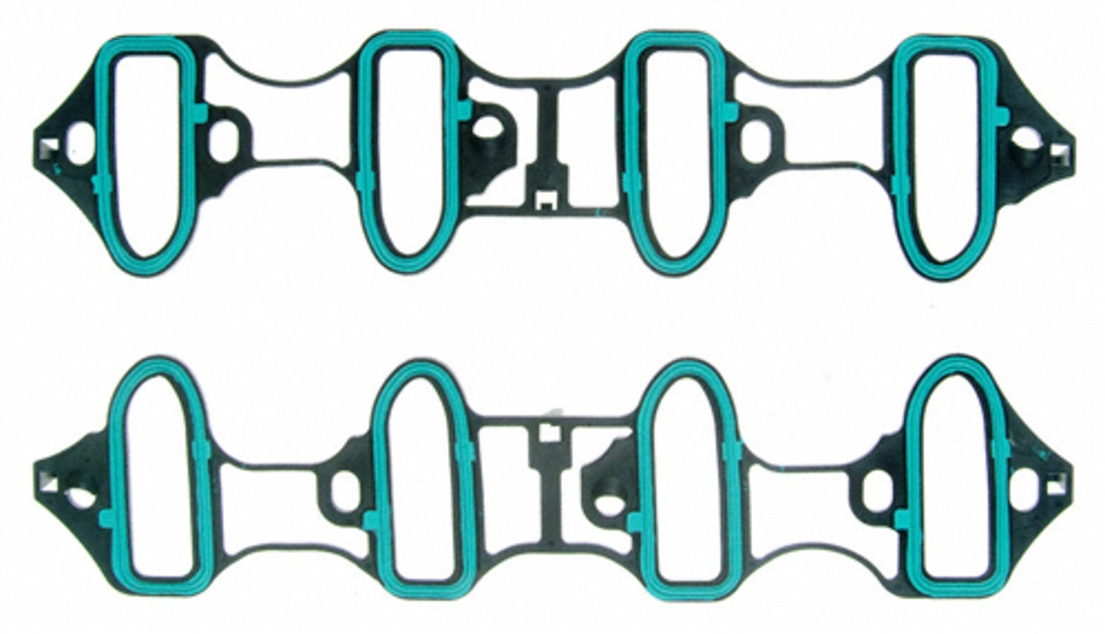 FELMS96587.jpg