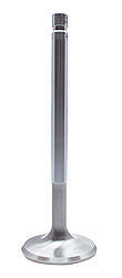 FERF5101-1.jpg