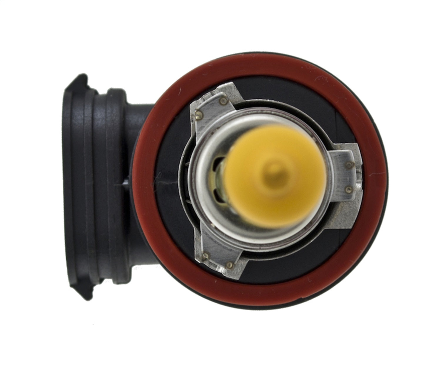 H71071132_TOPP.jpg