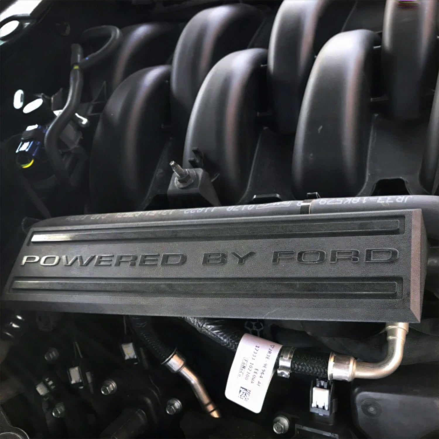 Ford Performance 2018-2023 5.0L "Powered By Ford" Engine Dress Up Kit - M-9680-M50BA