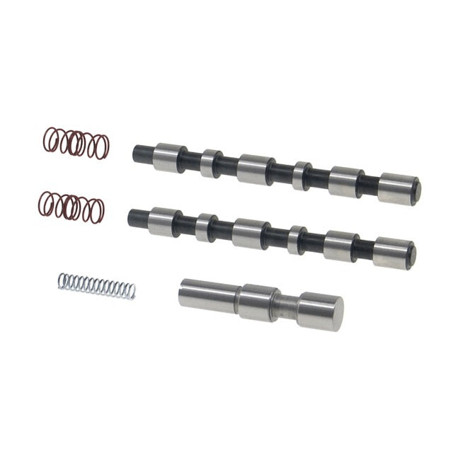 TransGo Transmission Rebuild Kit Automatic Valves / Springs GM 6L45 / 6L50 / 6L80 / 6L90 Kit 6L8CS-TCC