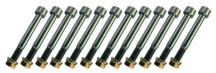 Triple X Race Components SC-BN-3500 Nerf Bar Bolt Kit Titanium