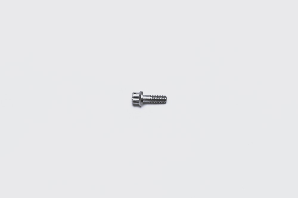 Wilwood 230-8037 Stainless Steel 1/4-20 x 0.75-Inch 12-Point Head Bolt