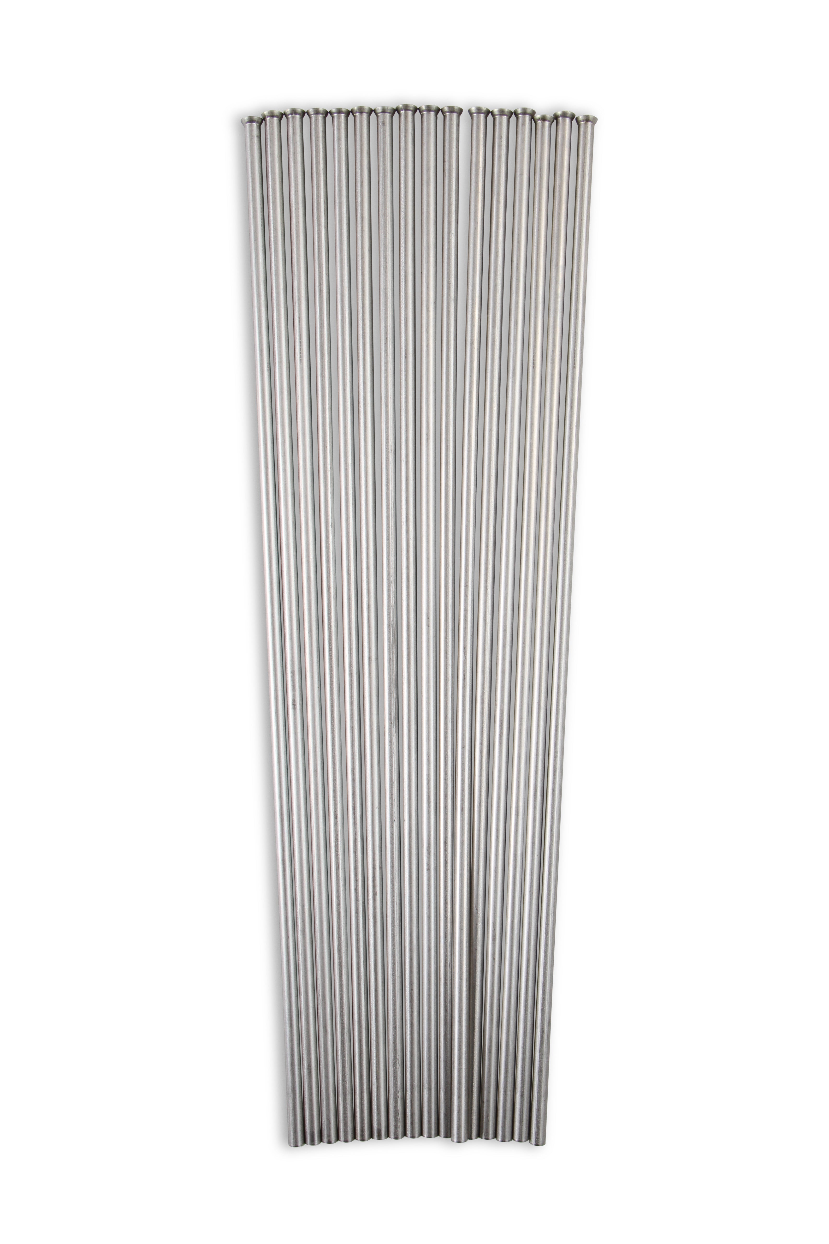 02464nos_18.jpg