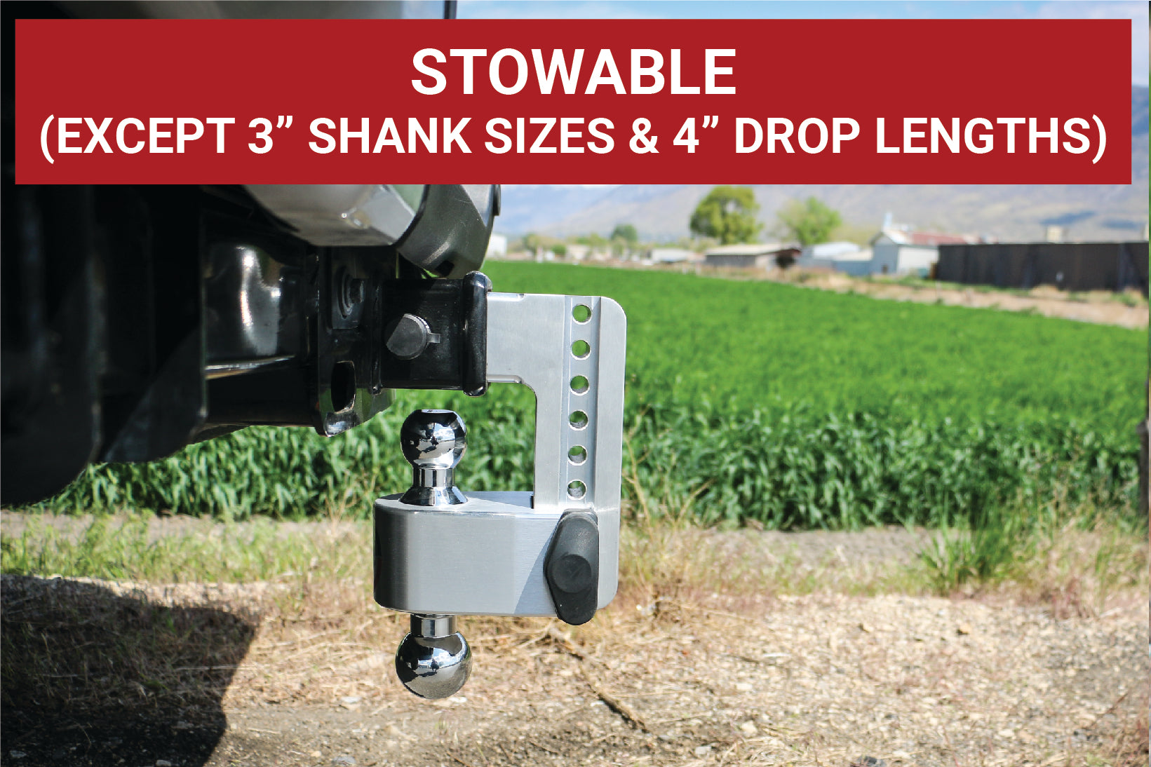 Weigh Safe CTB8-3 180 Hitch - Drop Hitch withChrome Combo Ball - 8" Drop for 3" Shank
