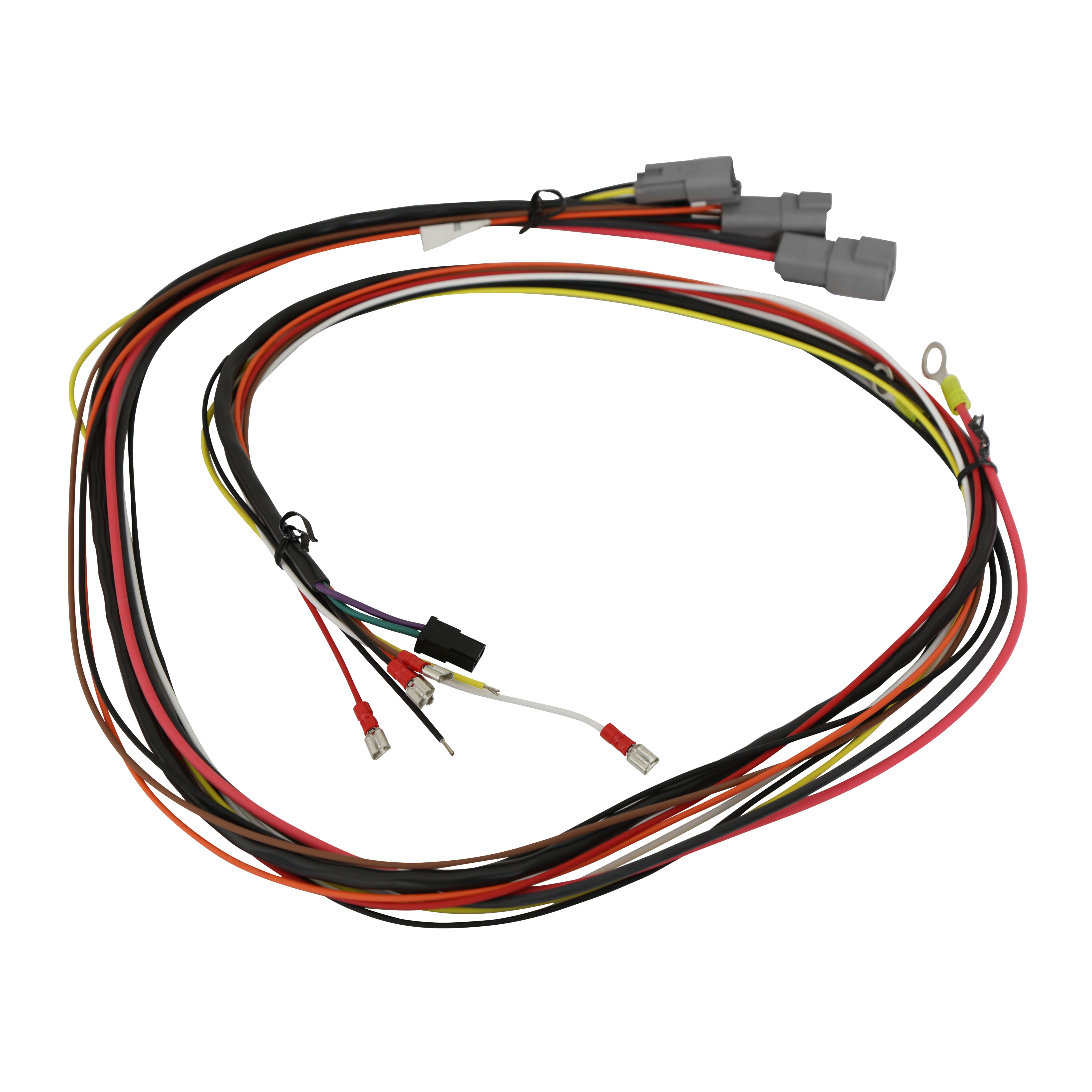 MSD For Use in Circle Track And Professional Racing, With Fast Rev Limiter 6631 product image 6