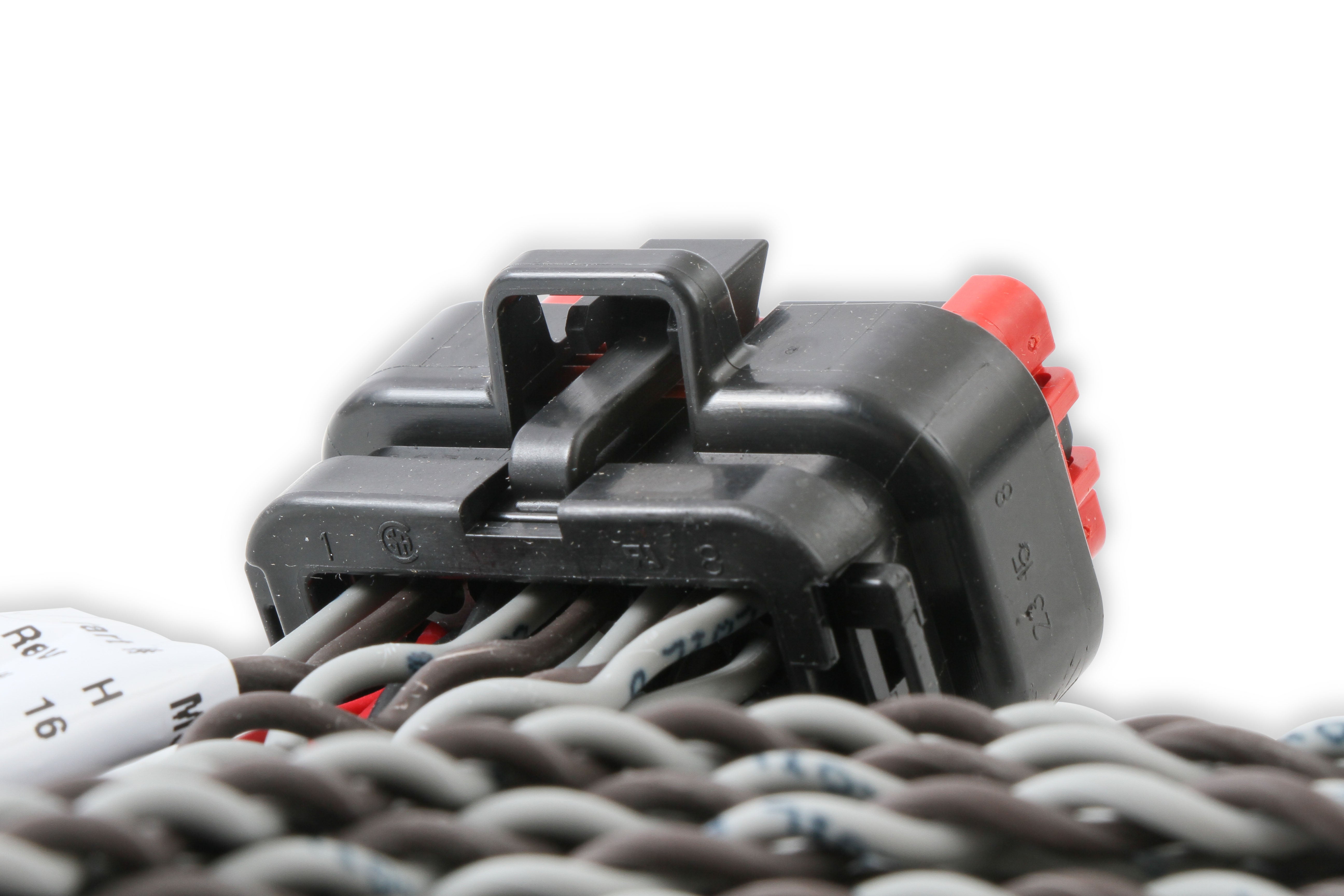 MSD Replacement Main Harness to Ignition Coil 80001 product image 4
