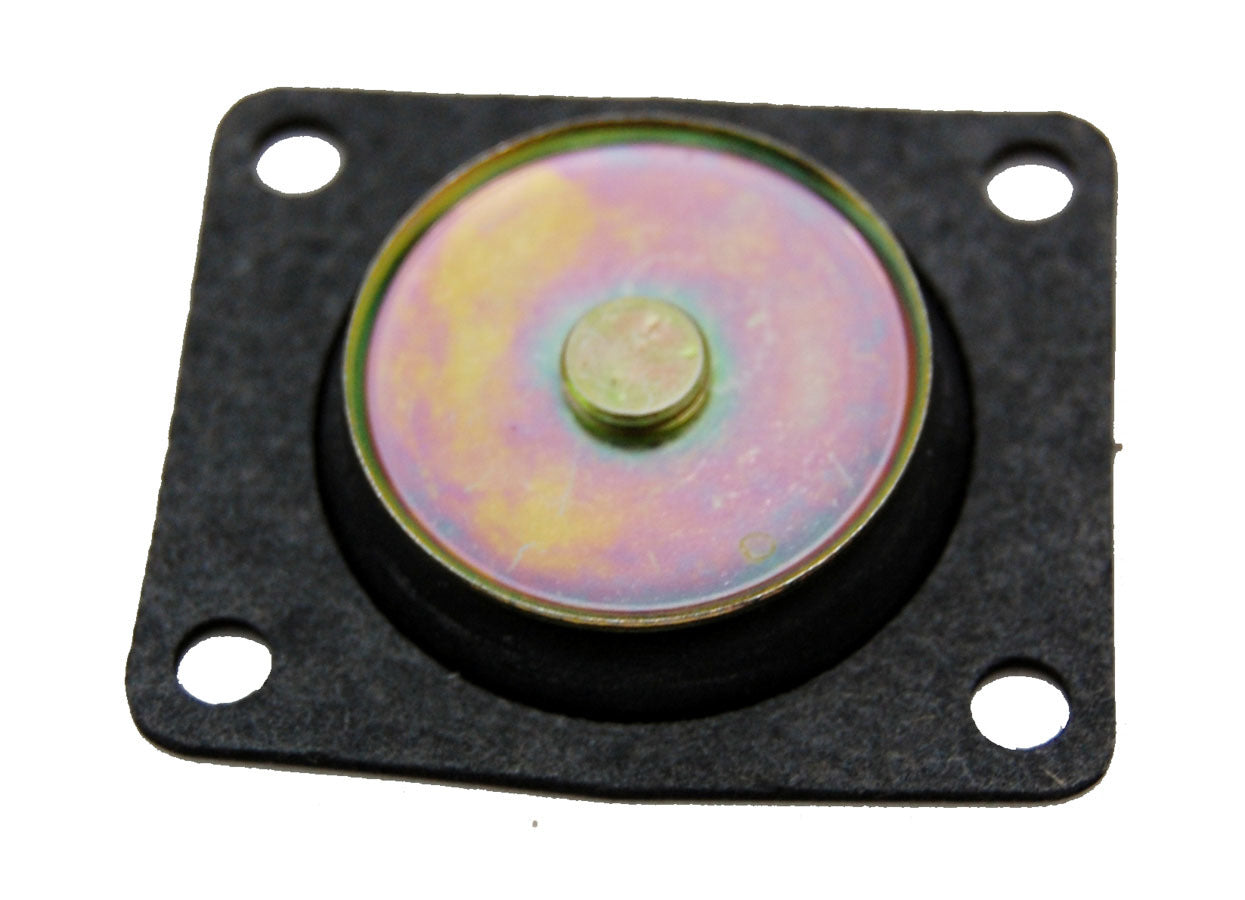 AED5335.jpg