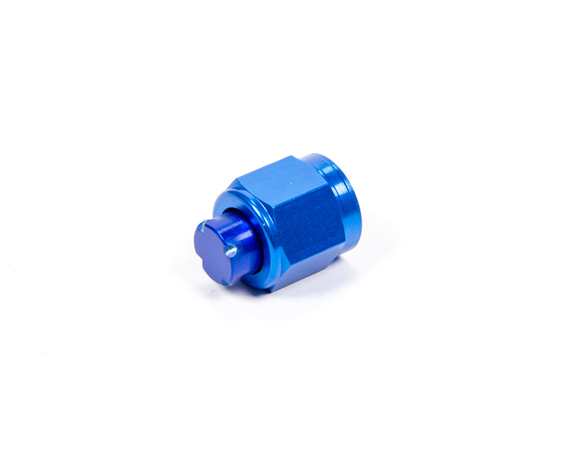 Aeroquip Wheel Accessory #6 An Cap Aluminum FCM3740
