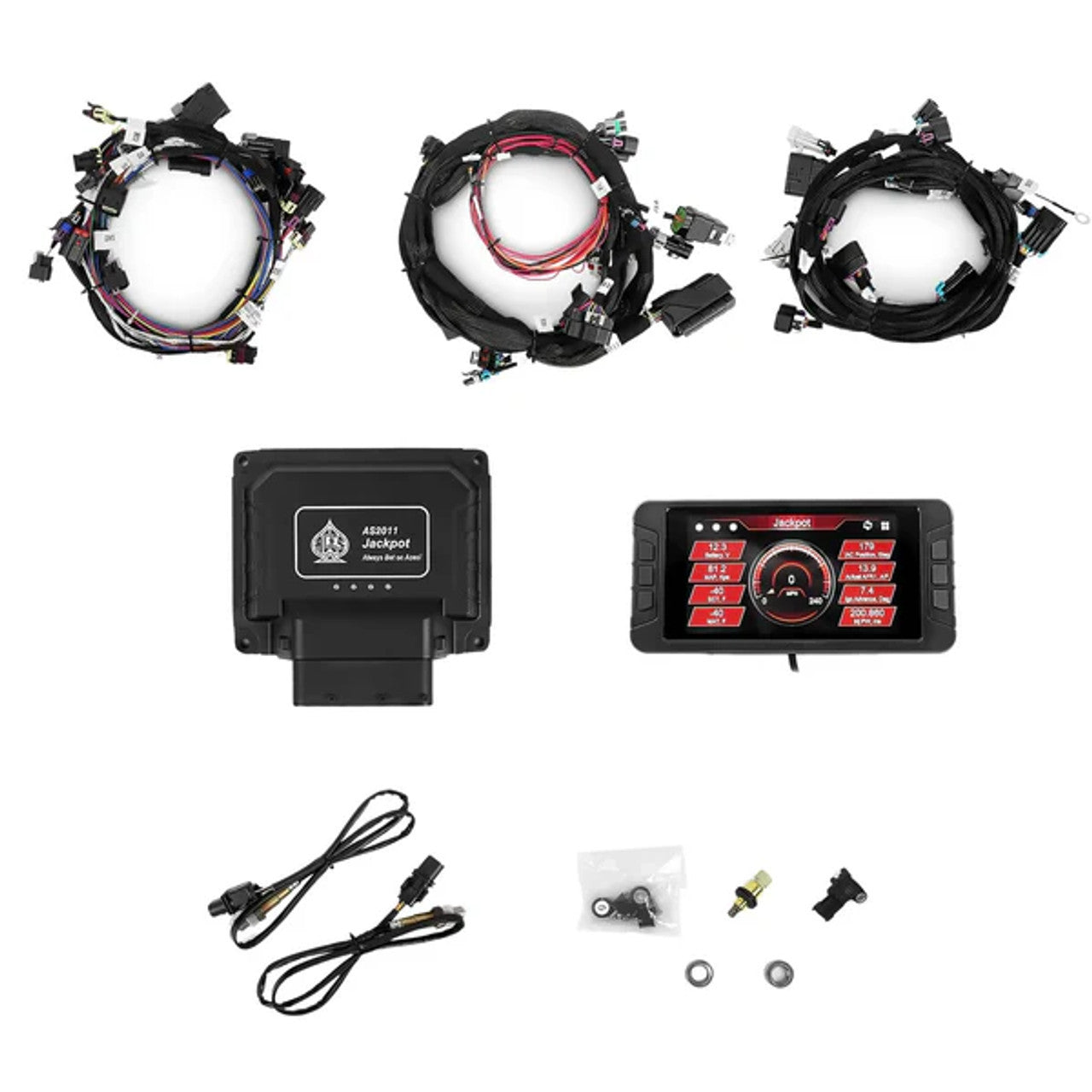 ACES Fuel Injection AS2011 Jackpot LS Pro EFI Engine Control Module Kit
