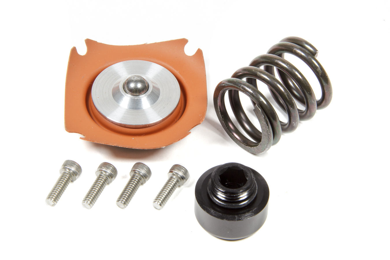 Aeromotive Fuel System Interior Accessory Regulator Rebuild Kit - 13305 35-75psi .313 Seat 13015