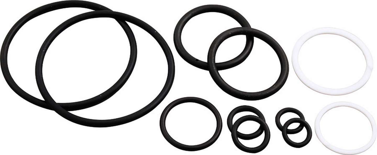 Allstar Performance ALL10427 Jack Seal Kit for 6-Pump Pit Jacks