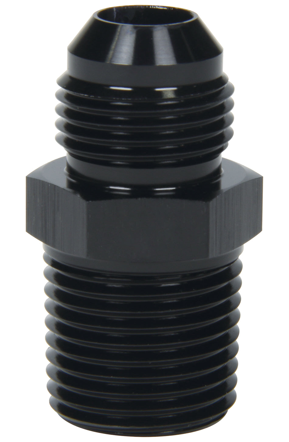 ALL49505.jpg