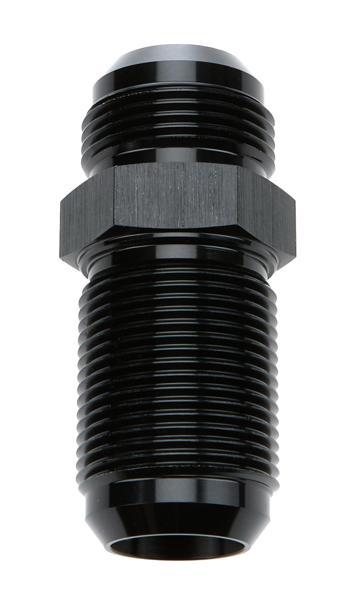 ALL49616.jpg