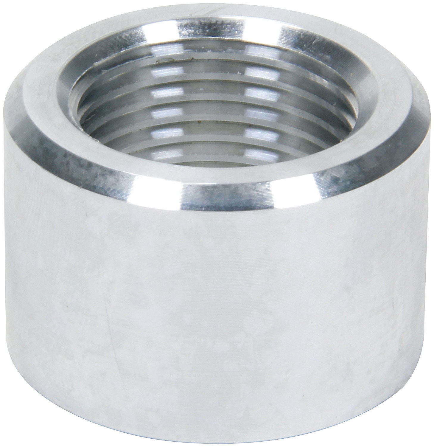 ALL50783.jpg