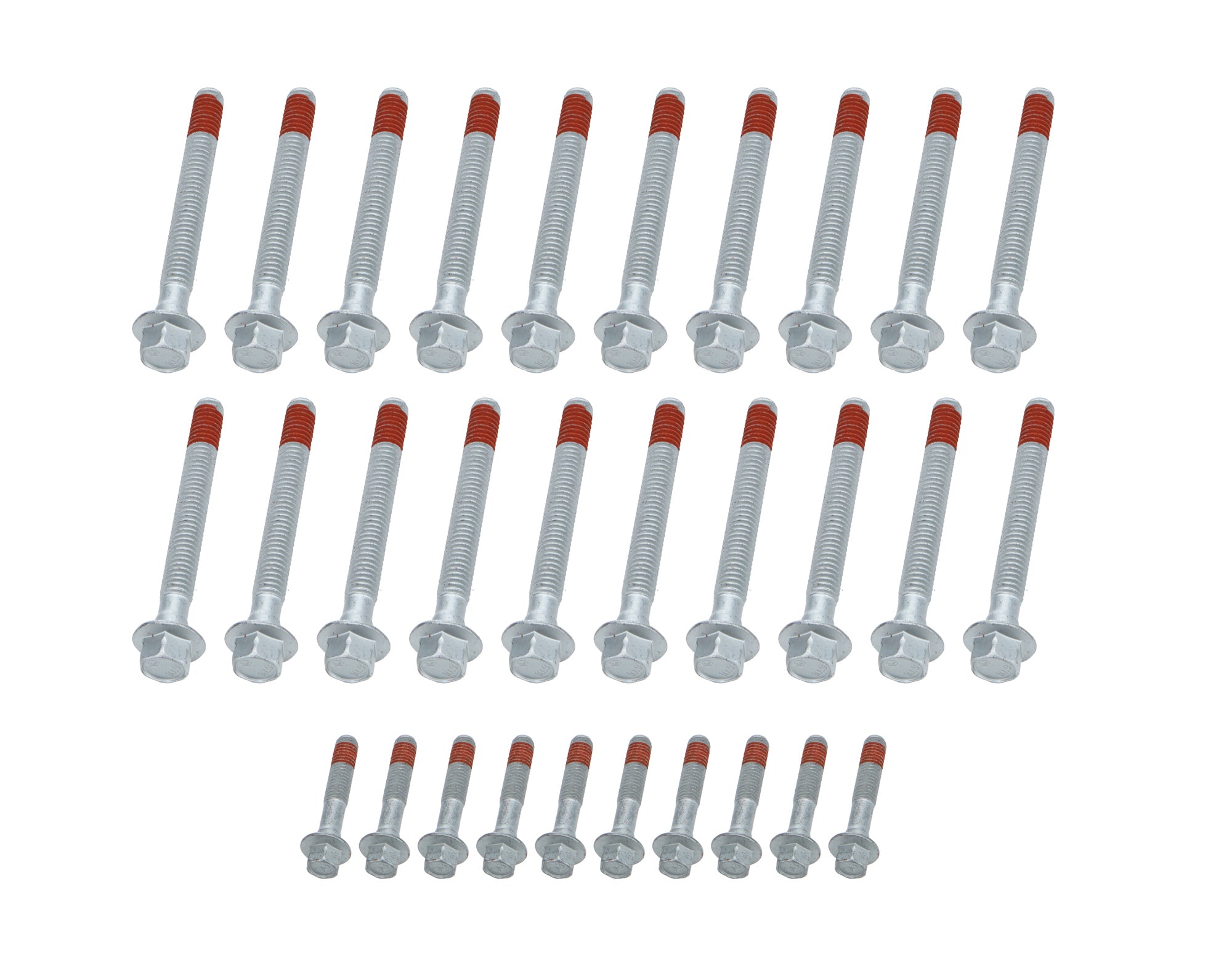 ALL87005.jpg