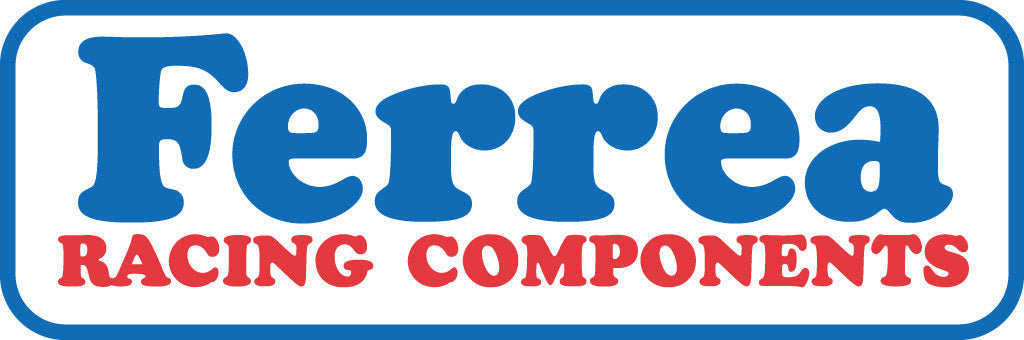 FER100.jpg