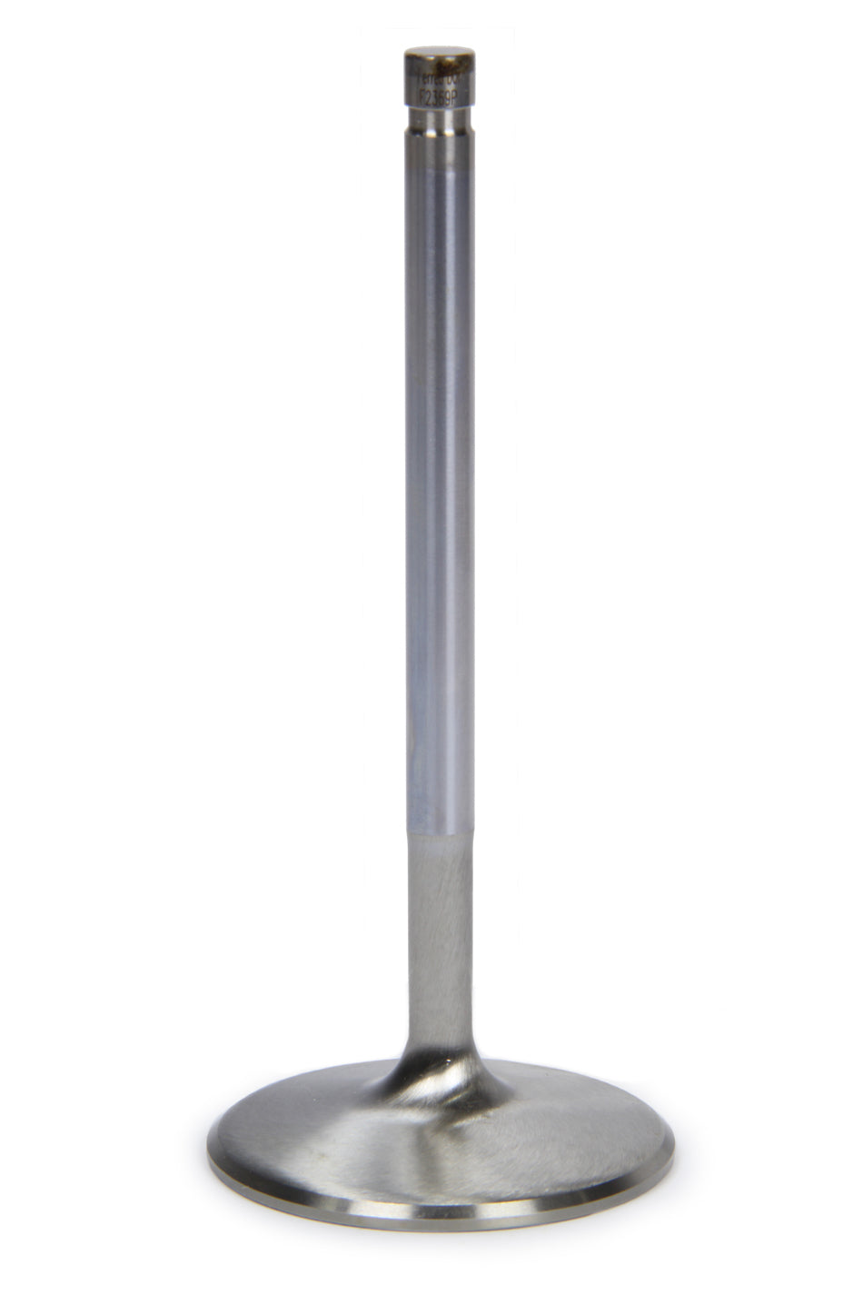 FERF2369P.jpg