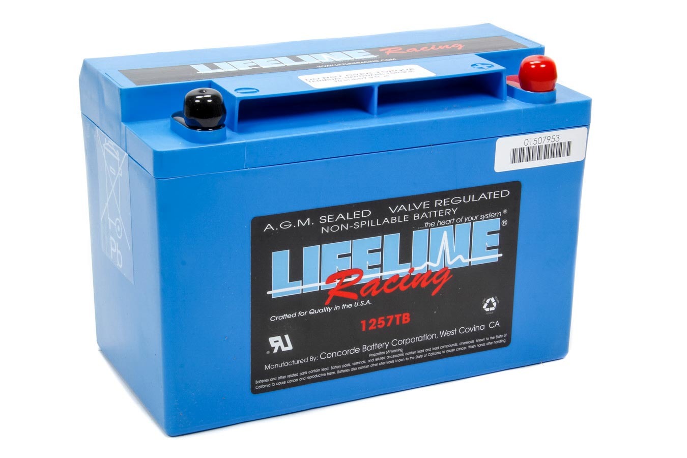 Lifeline Battery Power Cell Battery 9.78 X 4.97 X 6.83 - Gcjp_ll-1257 TB