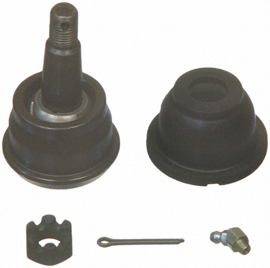 MOGK5103.jpg