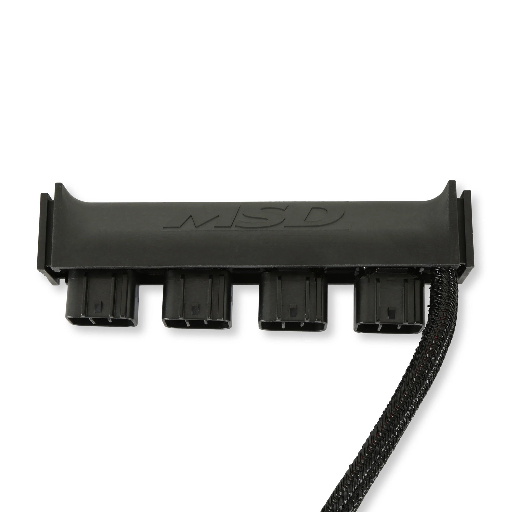 MSD77403.jpg