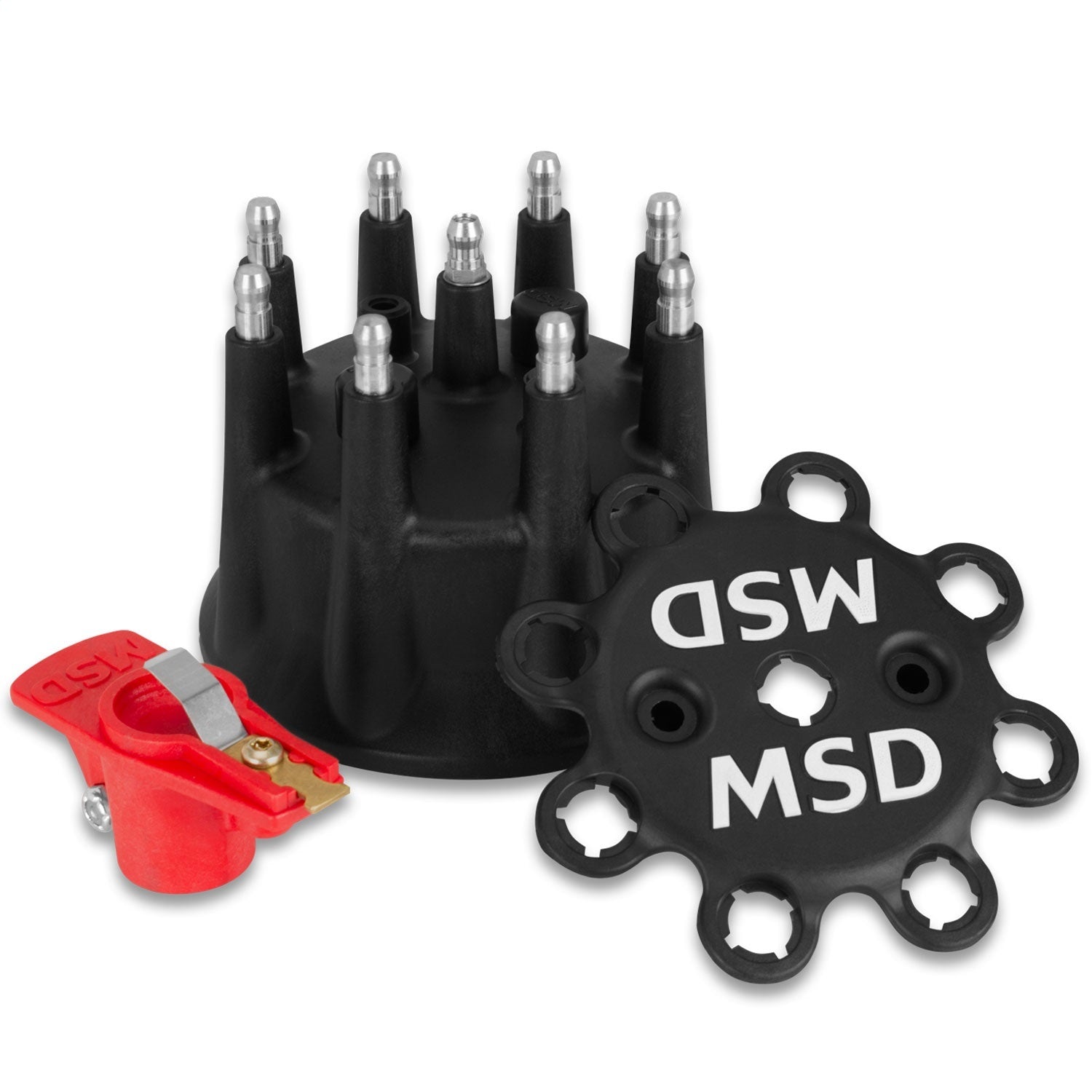 MSD79193.jpg