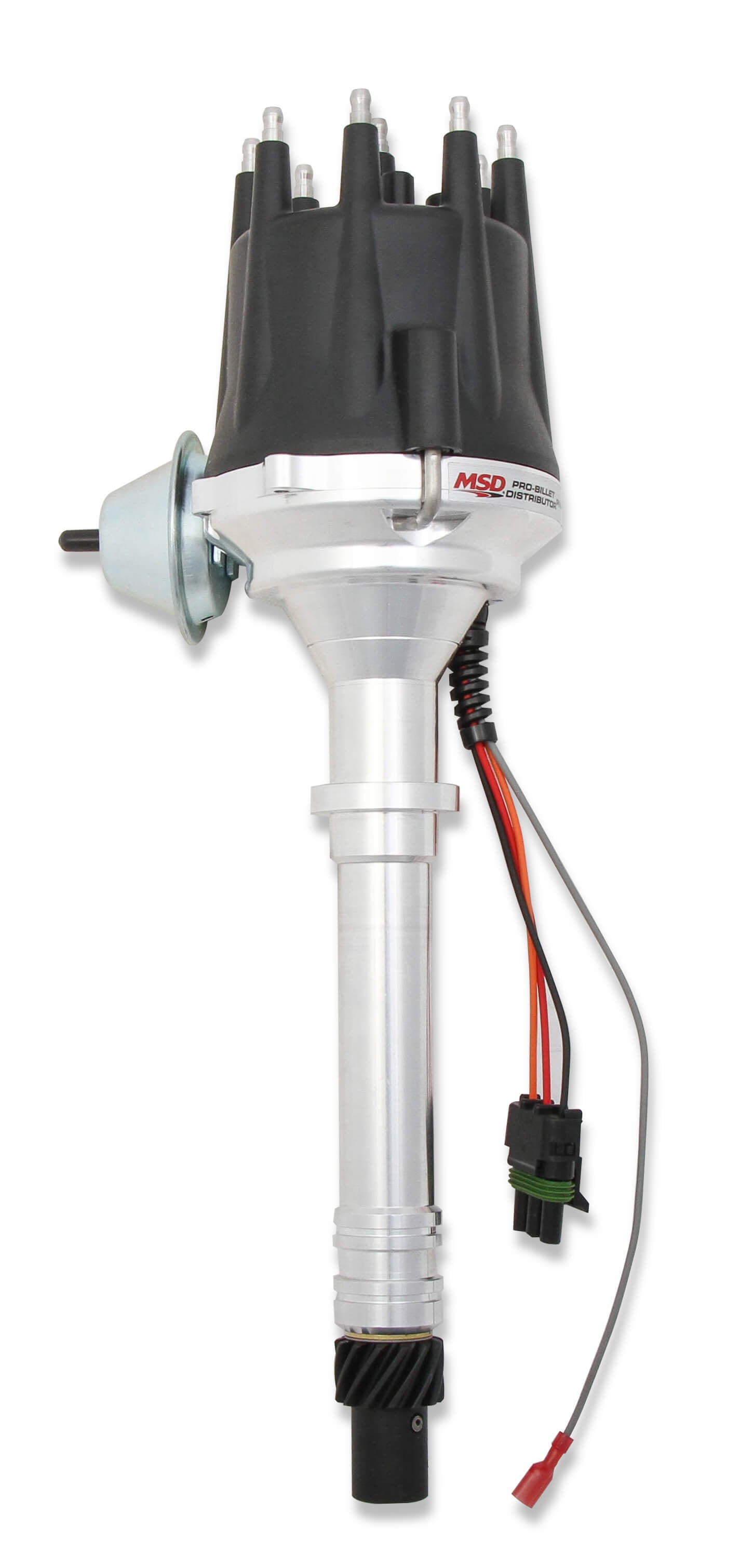 MSD83605.jpg