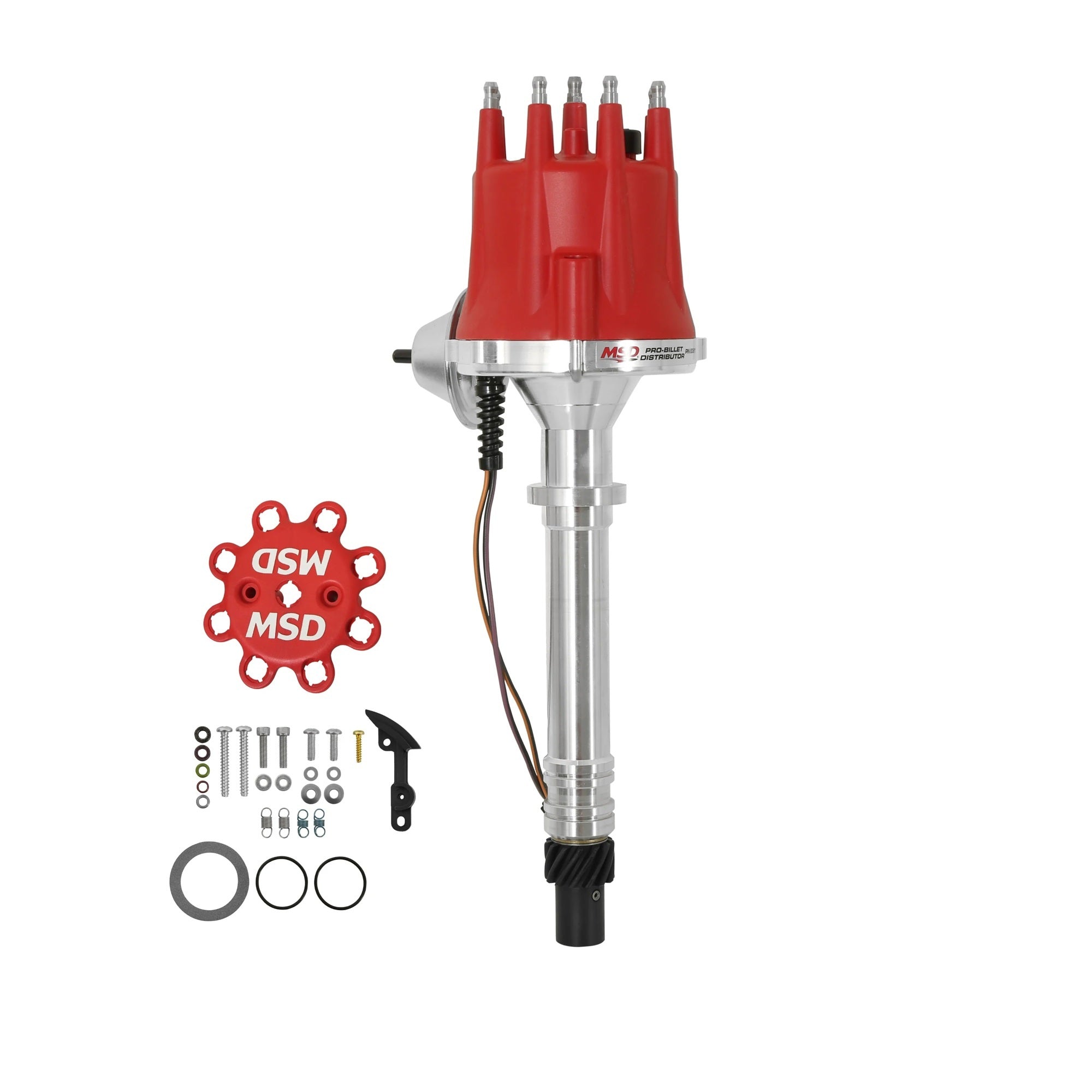MSD8361.jpg