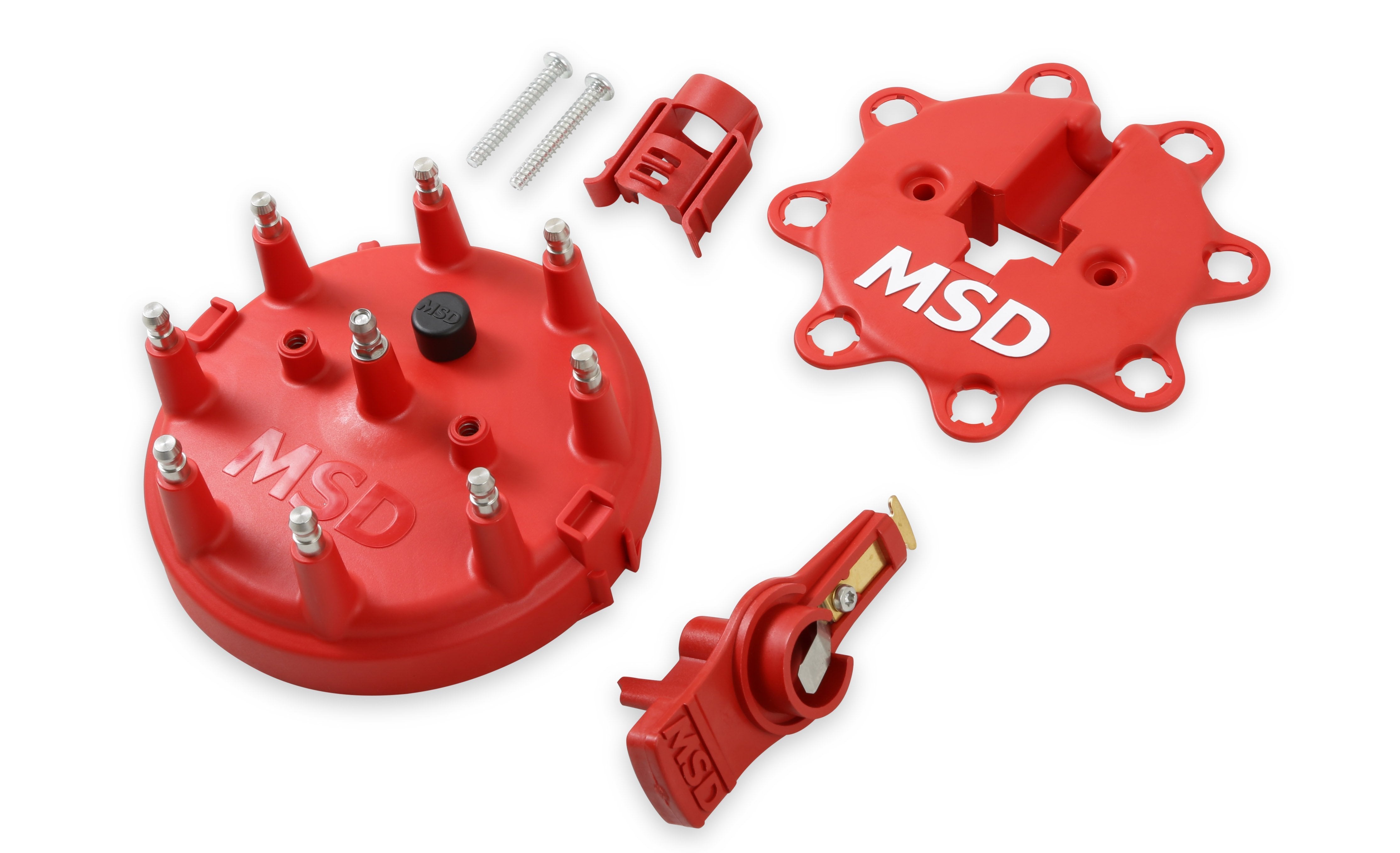 MSD8482.jpg