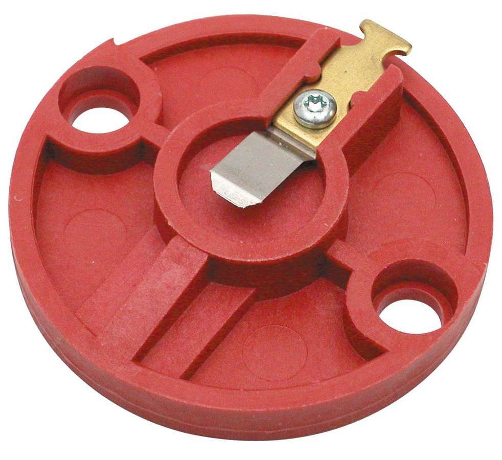 MSD8567.jpg