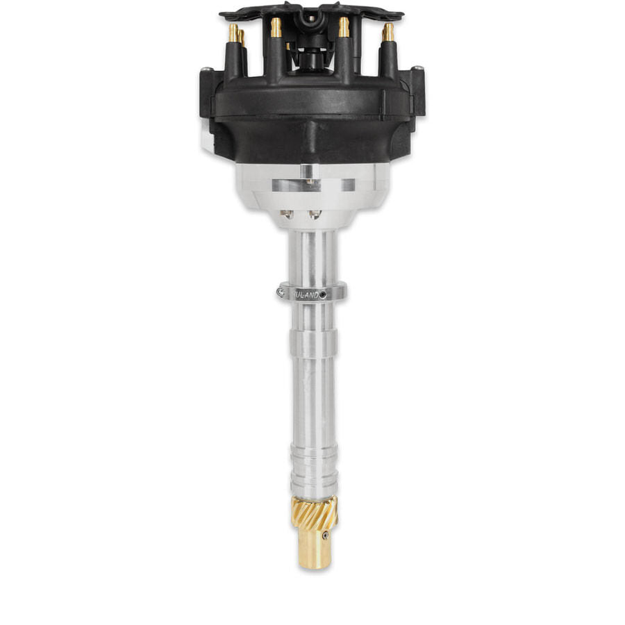 MSD85705.jpg