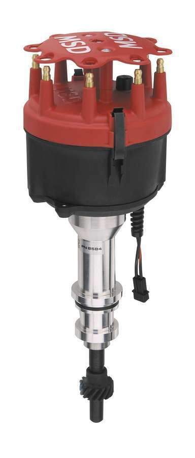 MSD8584.jpg