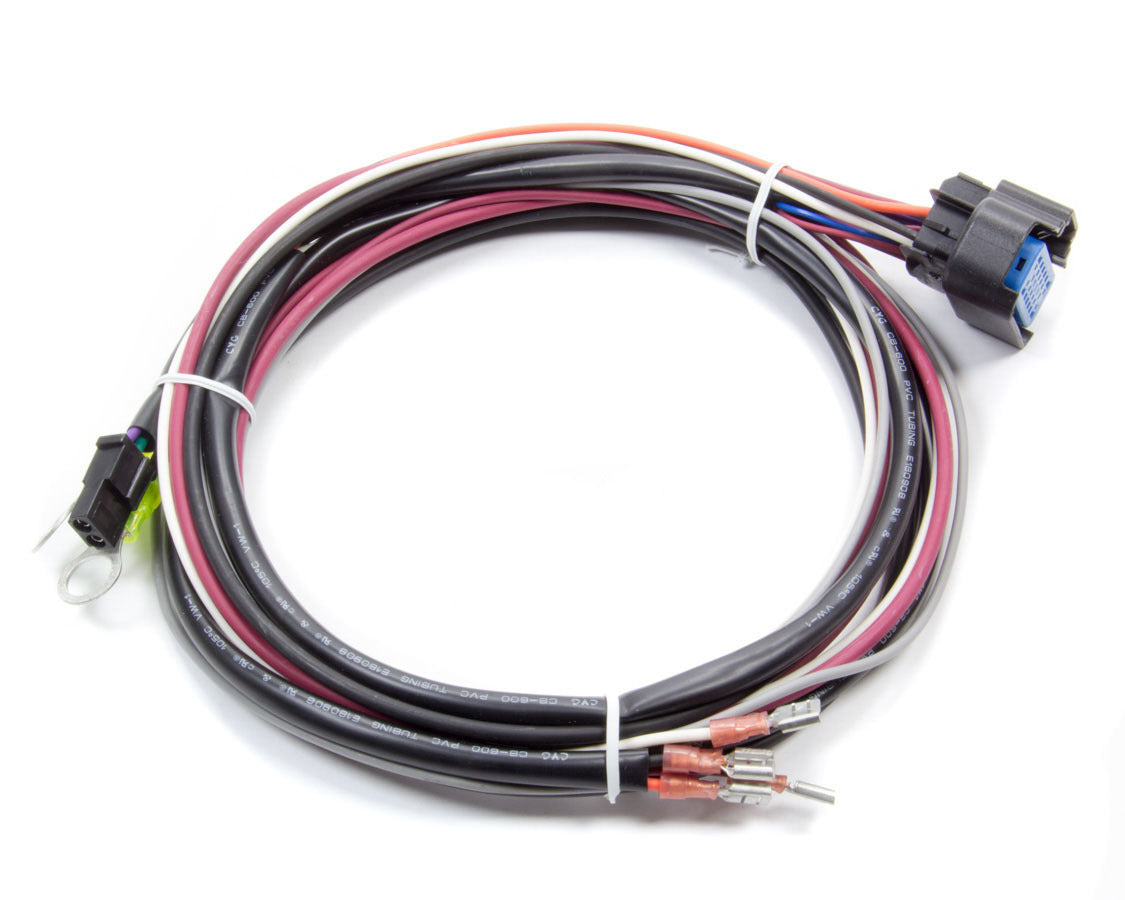 MSDMSD29774.jpg